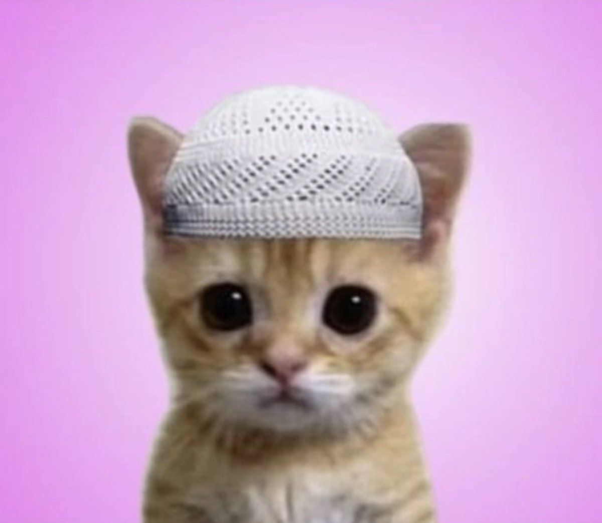 0iamciy's tweet photo. @Solana_S_T_U_D Benjiii we are waiting for your magical call!!! But please remind them first $HALAL is the ticker for Ramadan https://t.co/338ISmYcae