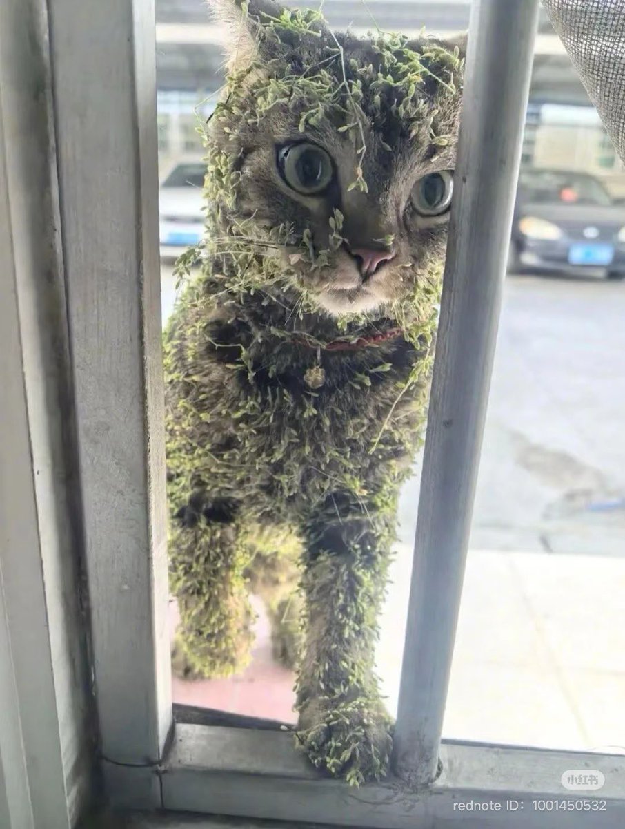 twaniimals's tweet image. 