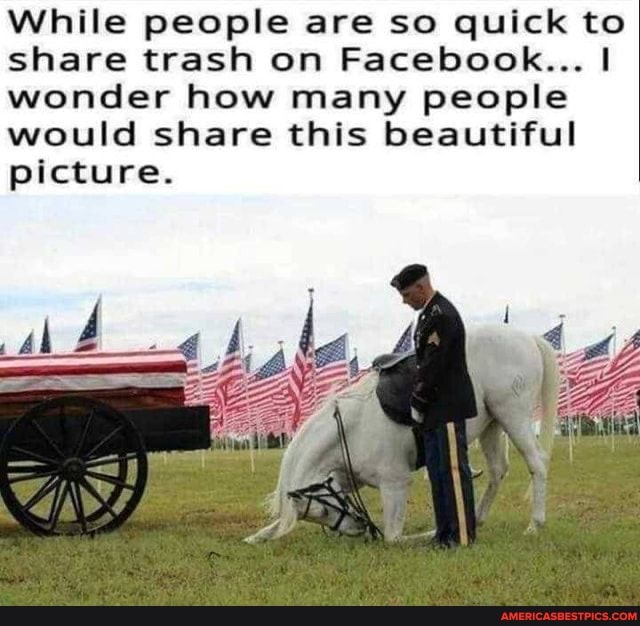 cbrandt701's tweet image. #while #people #quick 
americasbestpics.com/picture/TtAomZ…
#AmericasBestPicsAndVideos