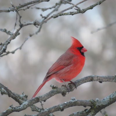 JanetBoyer31's tweet photo. #NewProfilePic https://t.co/VpnEhvusmE