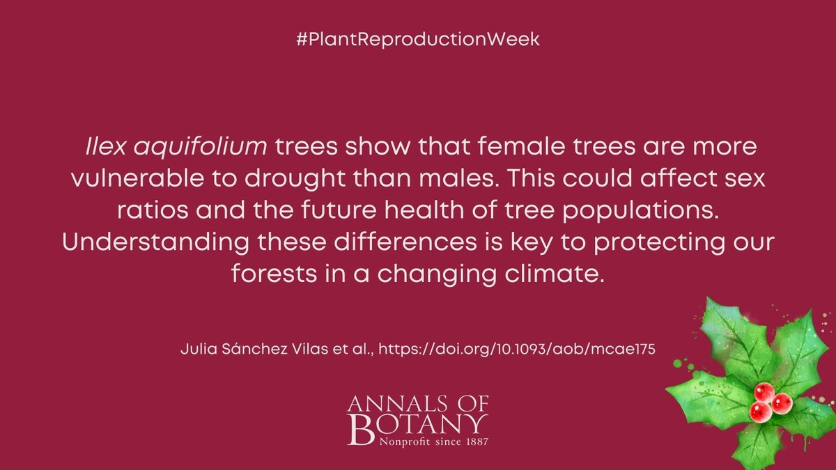annbot's tweet photo. 🌳💧#PlantReproductionWeek
Differential growth rate, water-use efficiency and climate sensitivity between males and females of Ilex aquifolium in north-western Spain by Julia Sánchez Vilas et al. in @annbot
#openaccess article
👉 https://t.co/6V5G7C6BkC
#PlantScience https://t.co/WLhx0Zmqqd