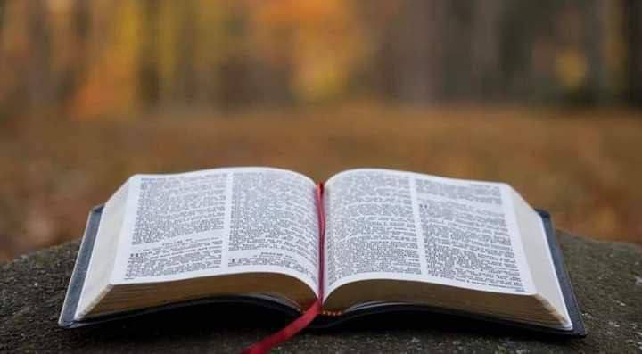 joeP_FOREX's tweet image. No GOD  =  No PEACE ❌
Know GOD = Know PEACE ✅

Let&apos;s Make it a Great Sunday!
Blessed Sunday Investors!
🙏🙌👐😊