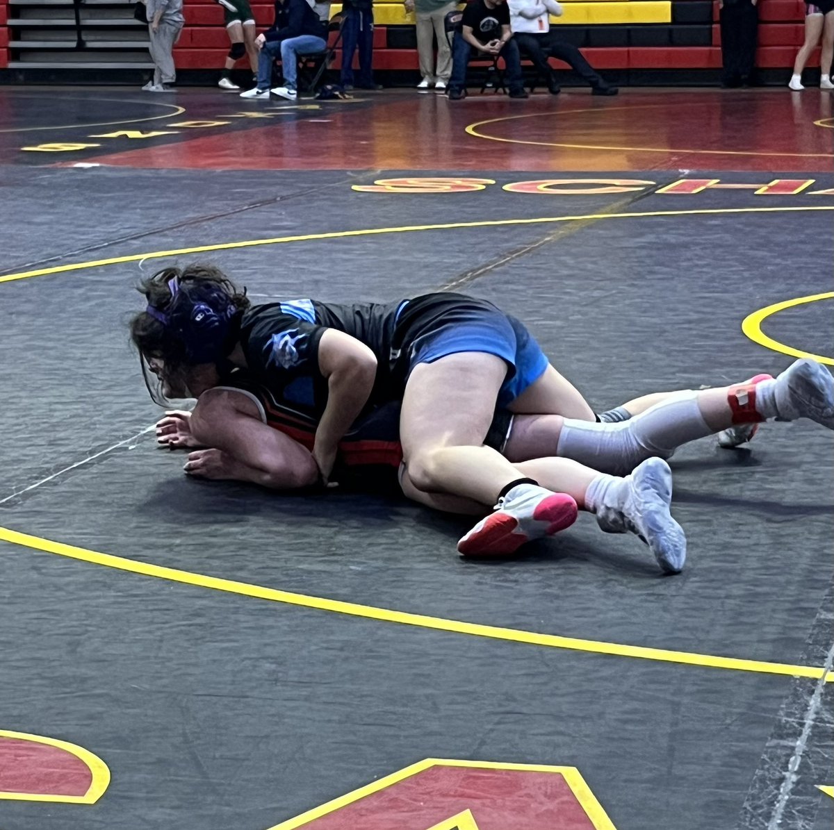 Wheeling Wildcats Athletics and Activities tweet media