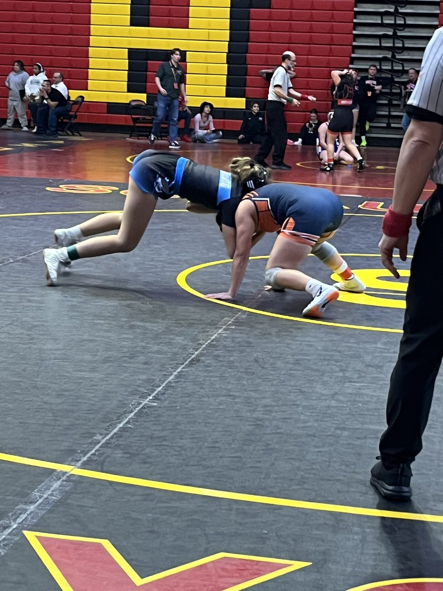 Wheeling Wildcats Athletics and Activities tweet media