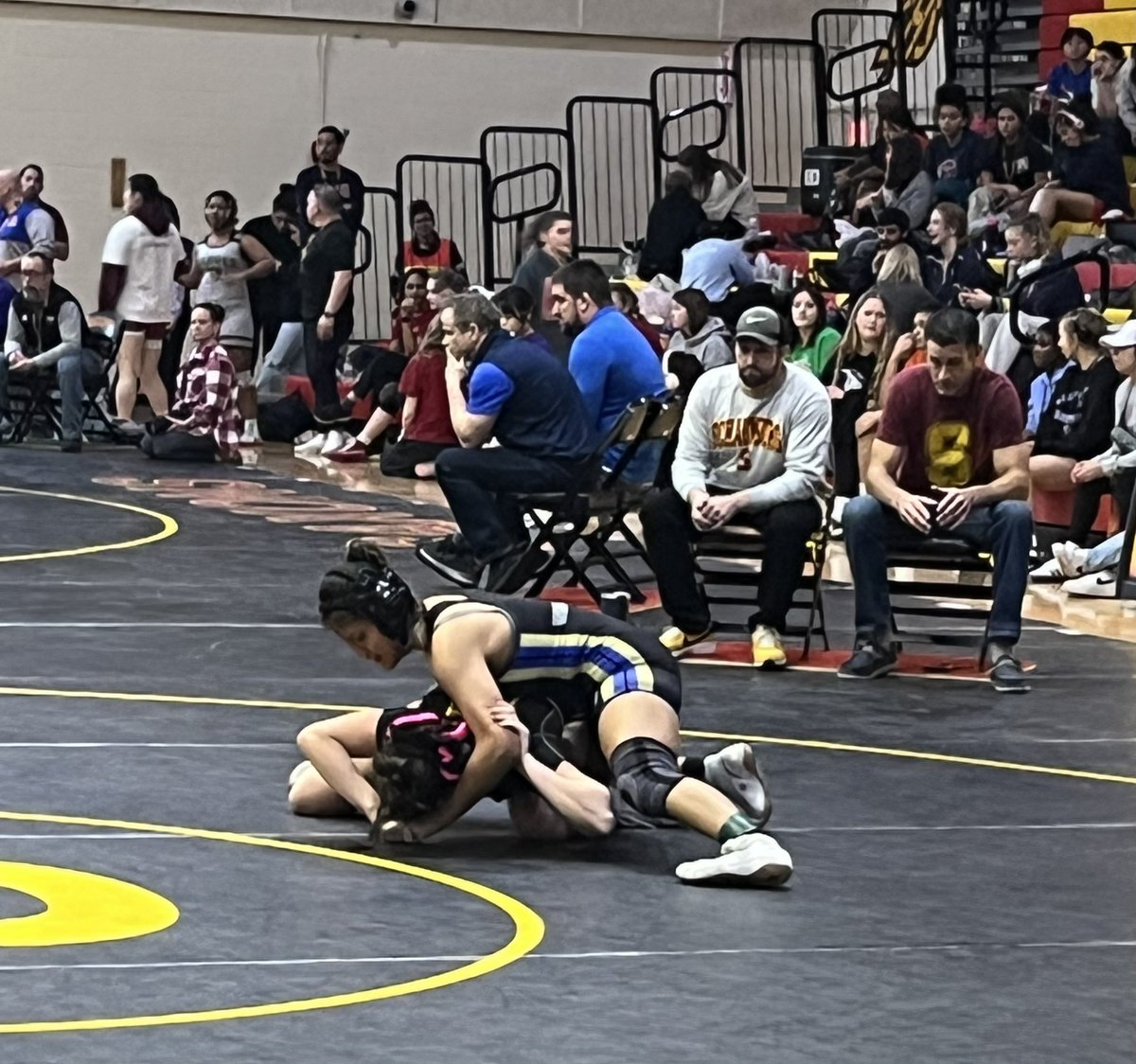 Wheeling Wildcats Athletics and Activities tweet media