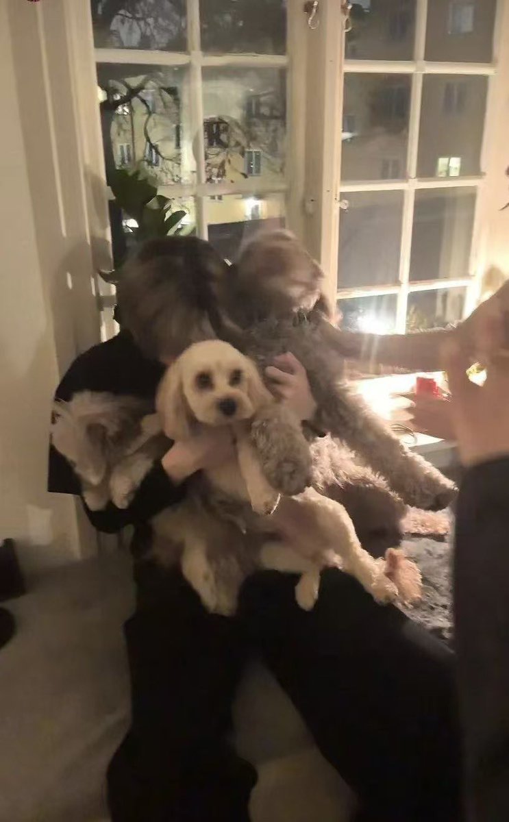 99WLK's tweet image. 25.02.16 6____ghost ig story update 

🐕🐶🐩🐾

#xiaogui #wanglinkai #小鬼 #王琳凯