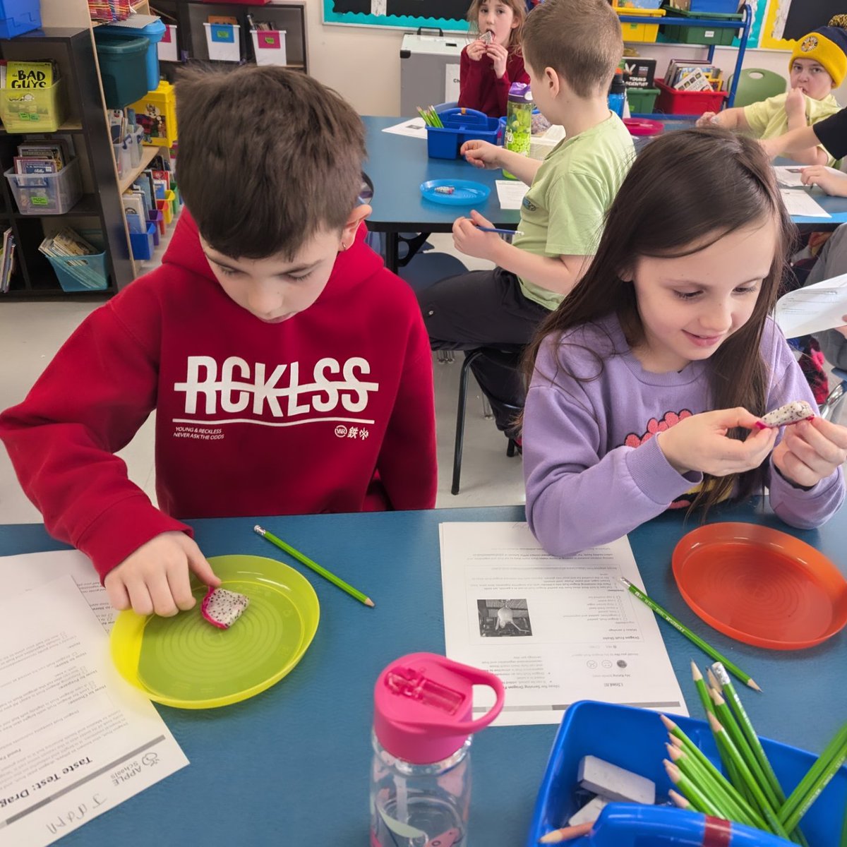 Ms Barrington tweet media