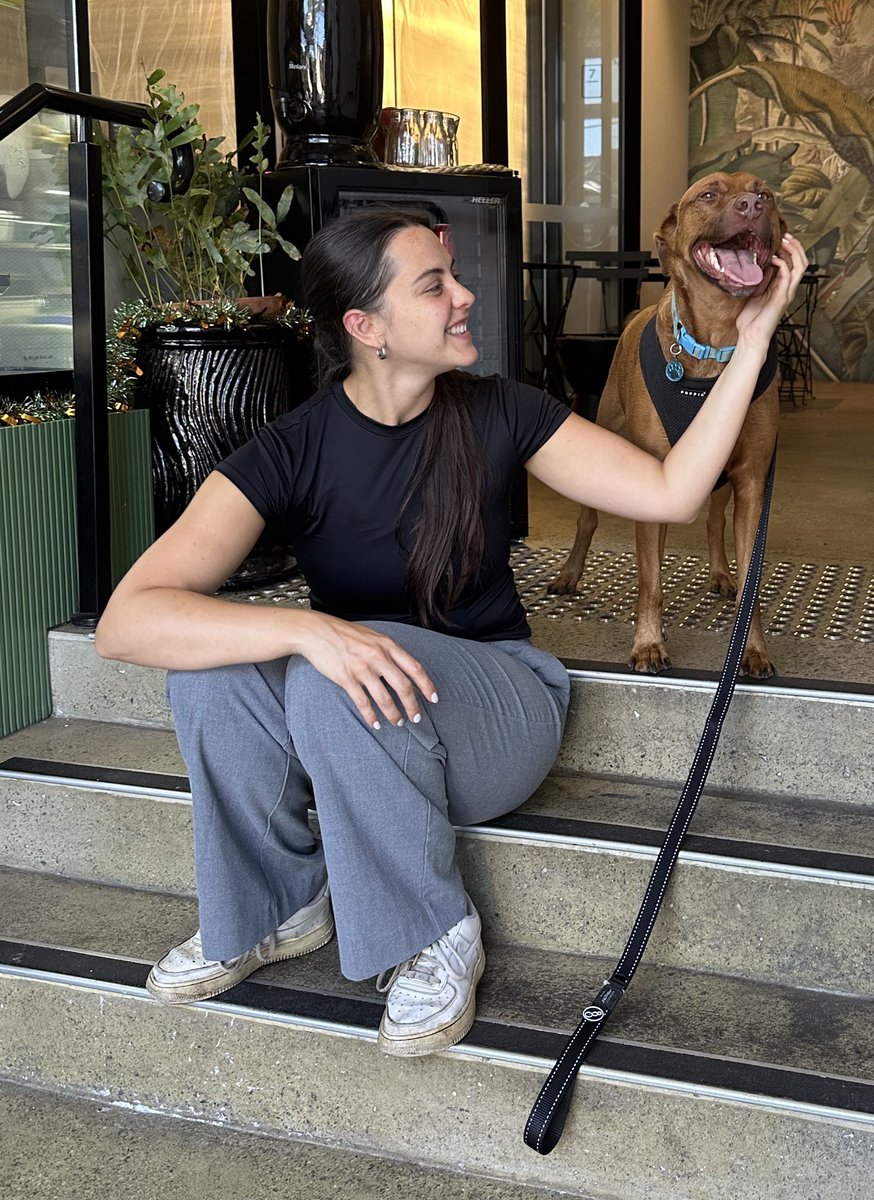 DrNicolasHart's tweet photo. With all the chaos in the world - I’m glad Baxter continues to be the happiest little man, living in the moment, loving his pup cups, and all of the attention at every cafe we pass. 🐕🥰 - #Baxter #DogsOfAcademia. https://t.co/ItVXdXHPgr