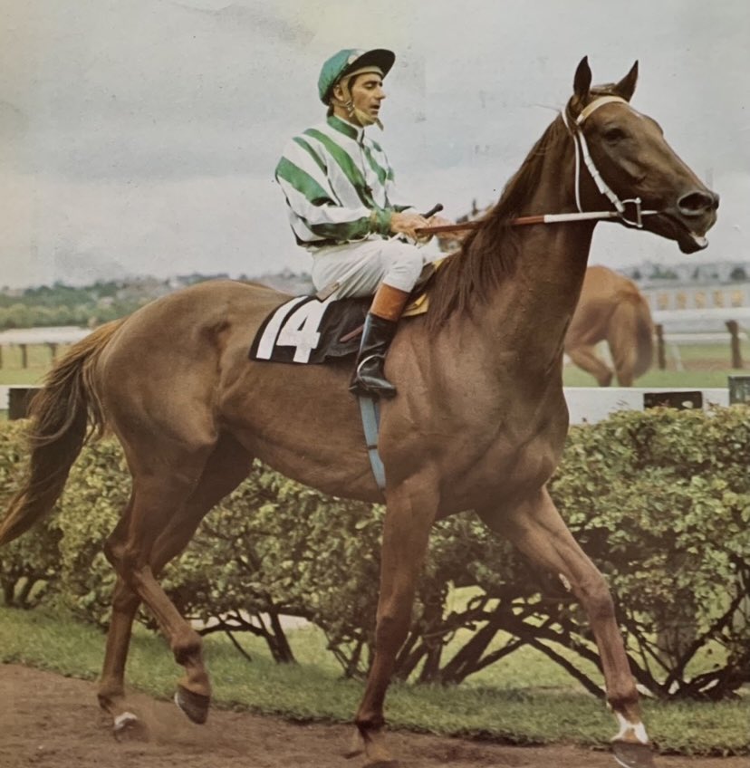 Form Focus tweet media