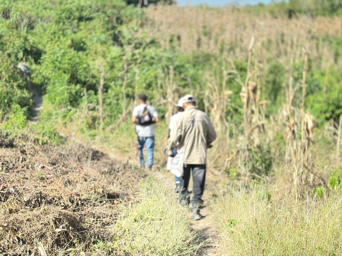UBPDcolombia's tweet photo. 📍#UBPDSucre | Caracterizamos dos lugares de interés en #Morroa para avanzar en la búsqueda y dar respuestas a las familias.  Hace parte del #PlanRegionaldeBúsqueda #MontesdeMaría y #Morrosquillo, con 1.644 personas desaparecidas y 541 solicitudes en #Sucre y #Bolívar. https://t.co/xTm6K1fduA