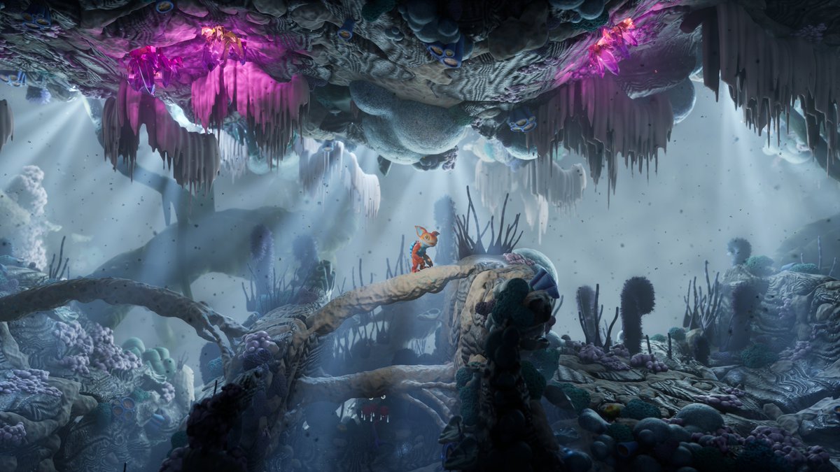 Johannes Kristmann tweet media