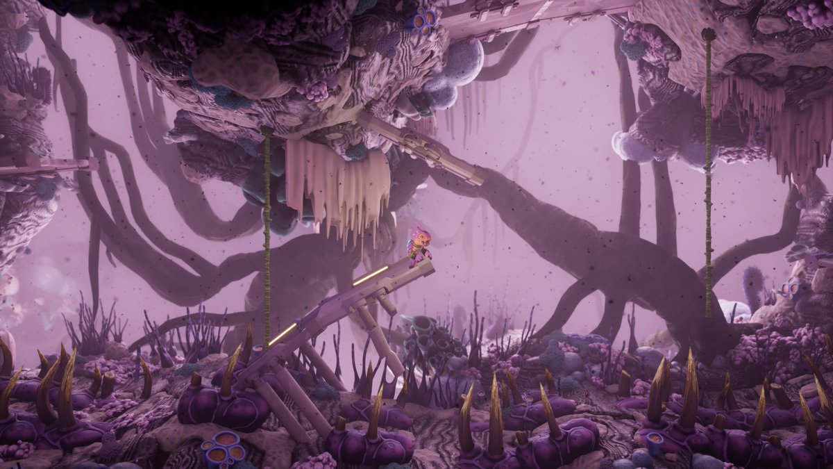 Johannes Kristmann tweet media