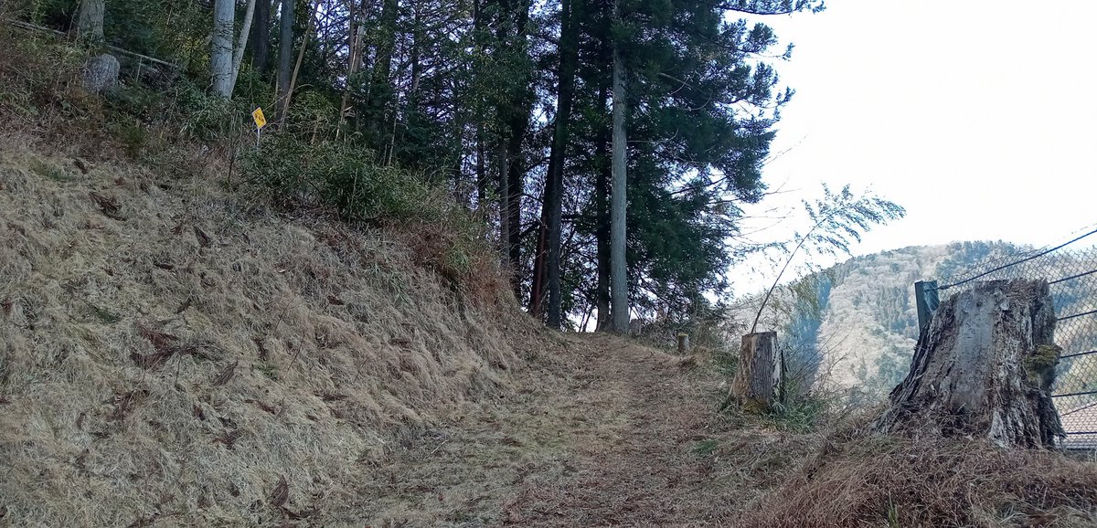 mountainbeast2's tweet photo. 山　入ります！！

#山梨 #山 #大月市 #甲斐百山 #麻生山 #HOKA   #トレイルランニング https://t.co/Opslrwx1tZ