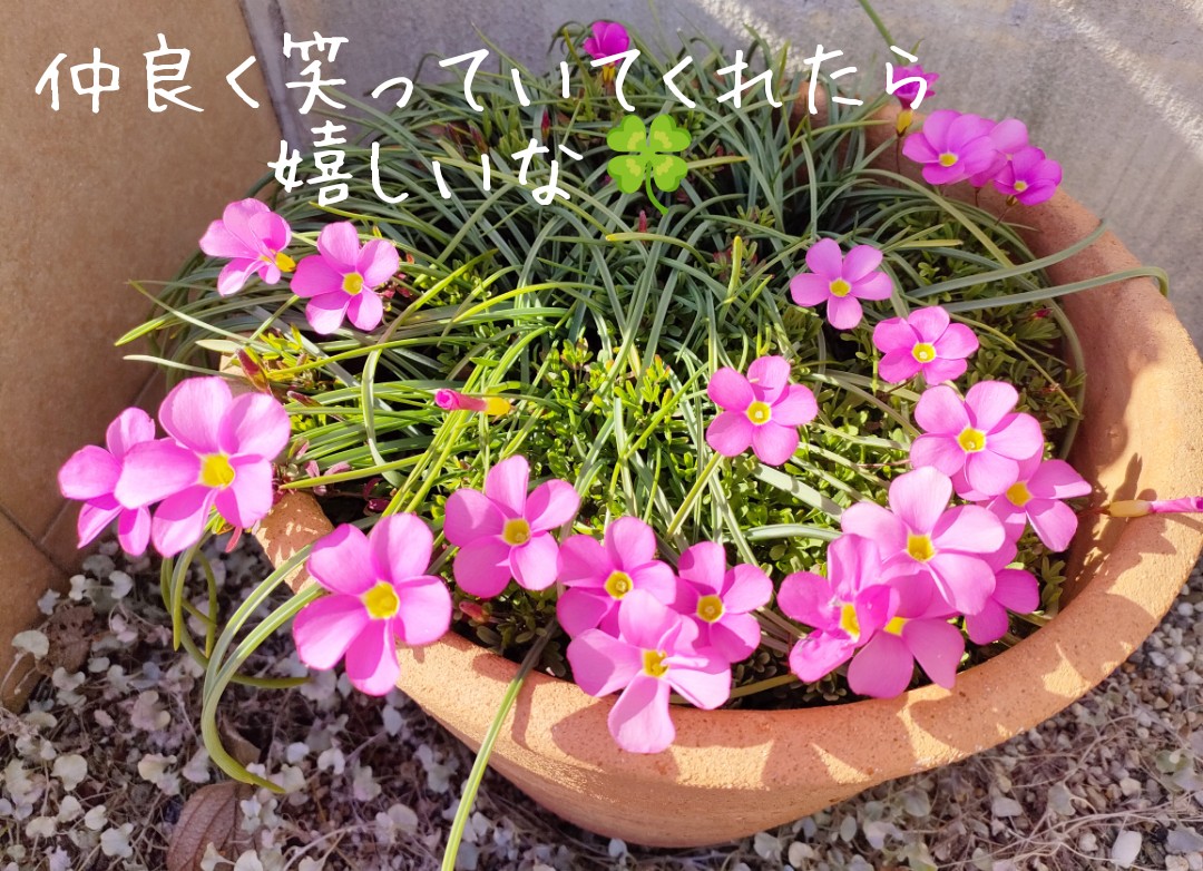 めい (⁠*⁠˘⁠︶⁠˘⁠*⁠)⁠.⁠｡⁠*⁠♡ (@meimeikyu216) / Posts / X