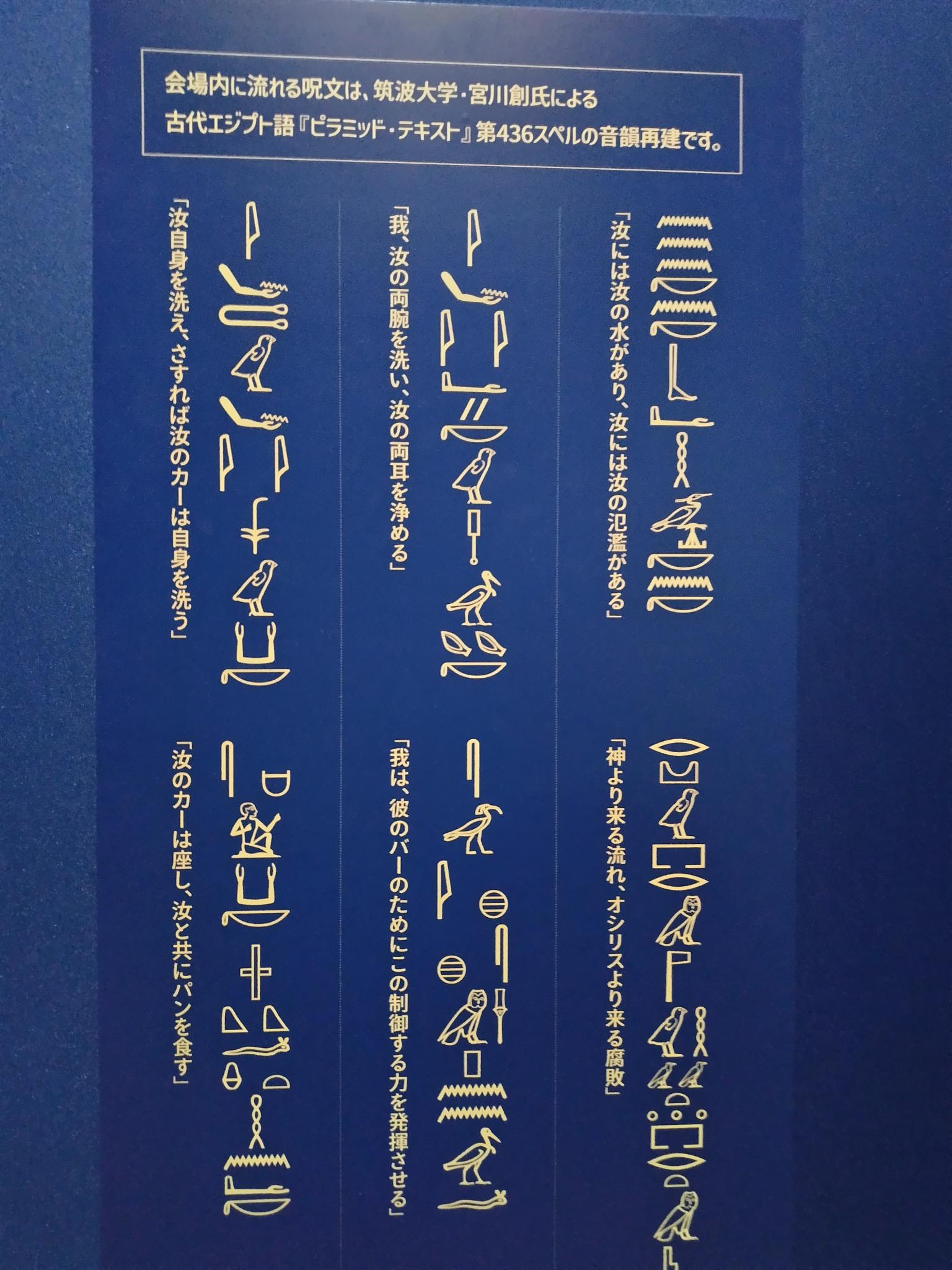 内田晃 絵画 【薔薇】※真執証明書つき 内田晃 絵画 【薔薇】※真