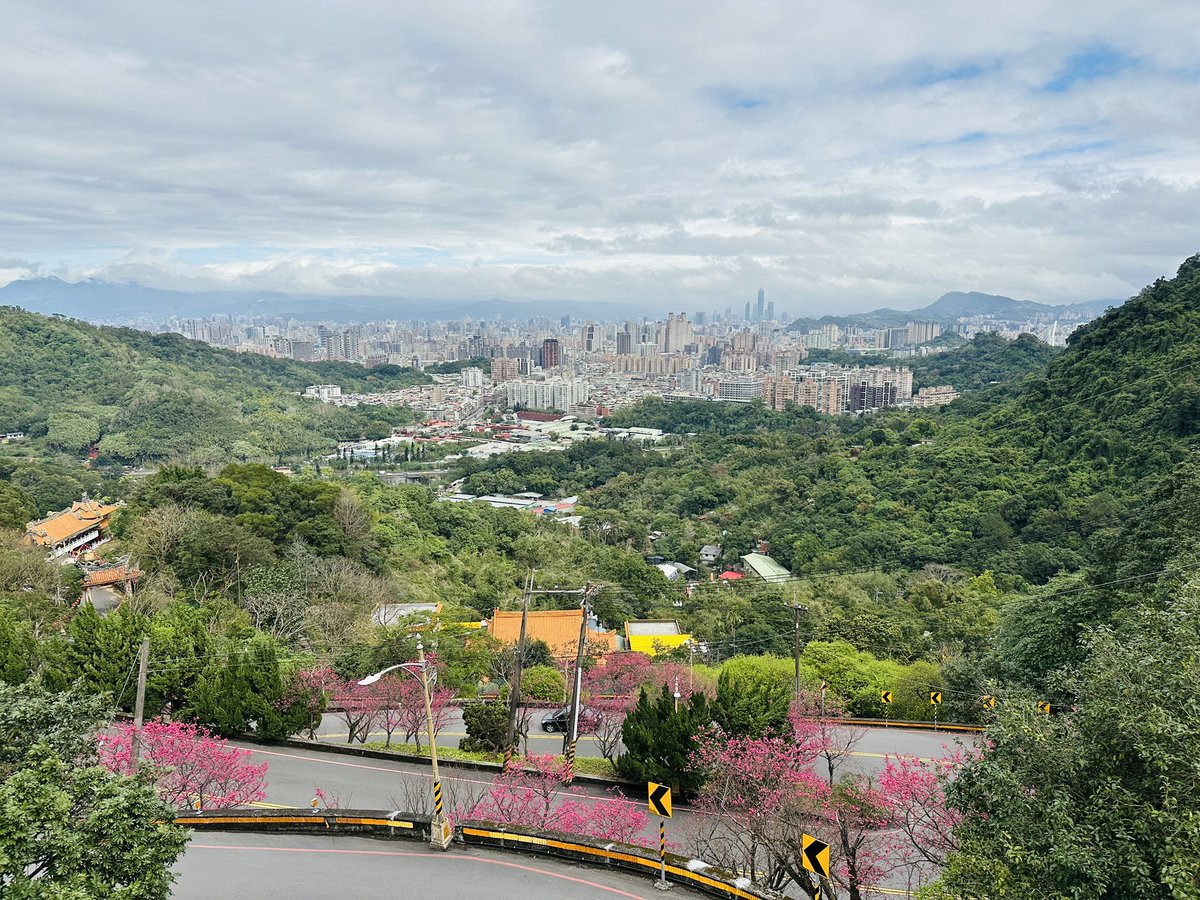 反指之人終遠去，好運實力步步聚。
財源滾滾入我懷，事業高升樂無虞。