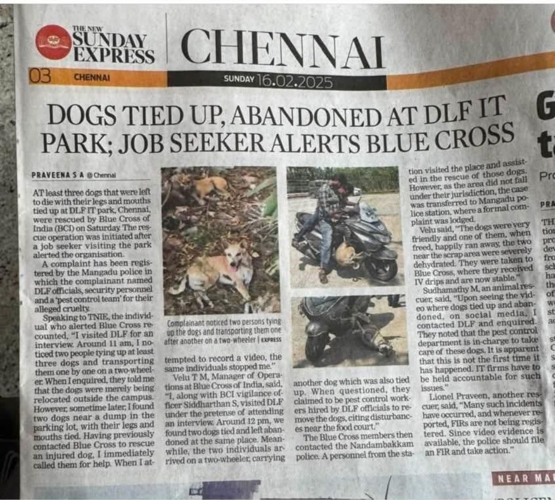 While not everyone need have #doglove , this level of cruelty is heartbreaking and disgusting. <a href="/dlfrealty/">DLF Homes</a> waiting to know what action you have taken to make up for this &amp; ensure never repeated. #AnimalCruelty 
<a href="/myndfully/">Raj Dharmaraj</a> <a href="/shonalim/">Shonali</a> <a href="/rahulbiddappa/">Rahul Biddappa</a> <a href="/CHNvolunteer/">Chennai Volunteers</a>