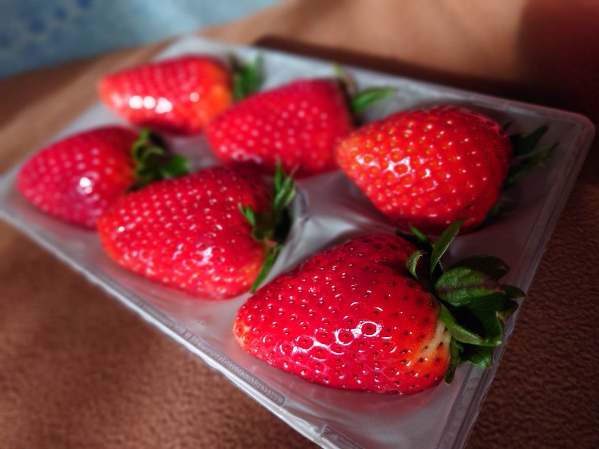 cbr1100xx_sc35's tweet photo. お取り寄せ〜🍓
1パックはボルの実家🏠️へ持って行き
義母さんへ🤭
1パックはボルと3つずつ仲良く食べたよ🤤
う…うんめぇ〜🍓古都華🍓が一番美味いんじゃね?ってくらい美味い🤤🤤🤤
針に売ってるけど今🚚寄ってかないから中々食べれない🥲 https://t.co/cMEZD8MEGs