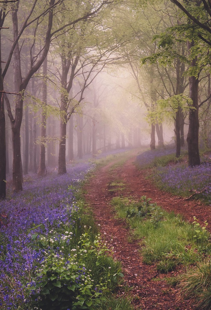 𝐌𝐚𝐭𝐭 𝐏𝐢𝐧𝐧𝐞𝐫 tweet media