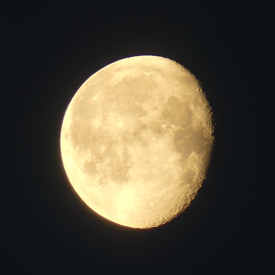 MKubrt's tweet photo. Právě teď jen tak z ruky 📷🌜😉 https://t.co/wqBFoYA3bm