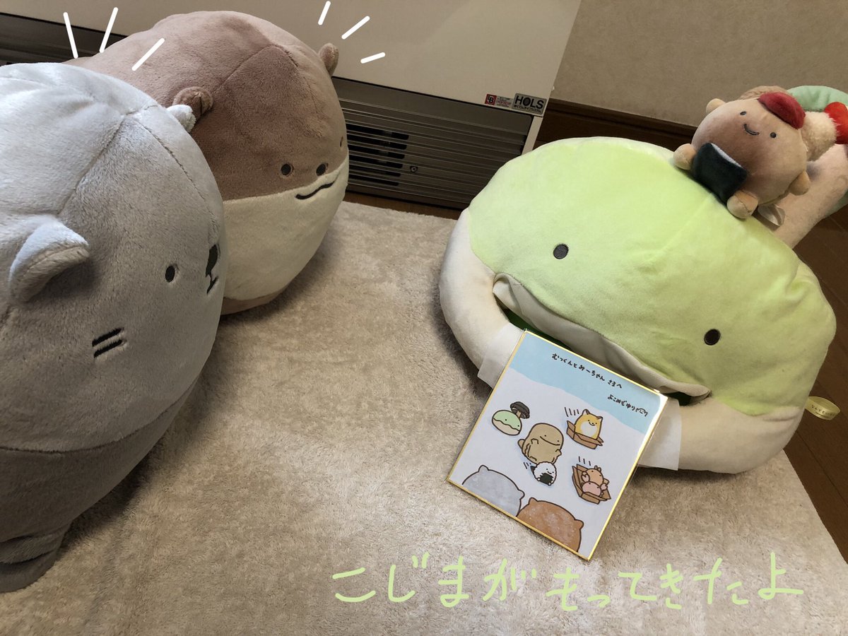 それから

#なんもの撮ったよ
#なんでもいきもの