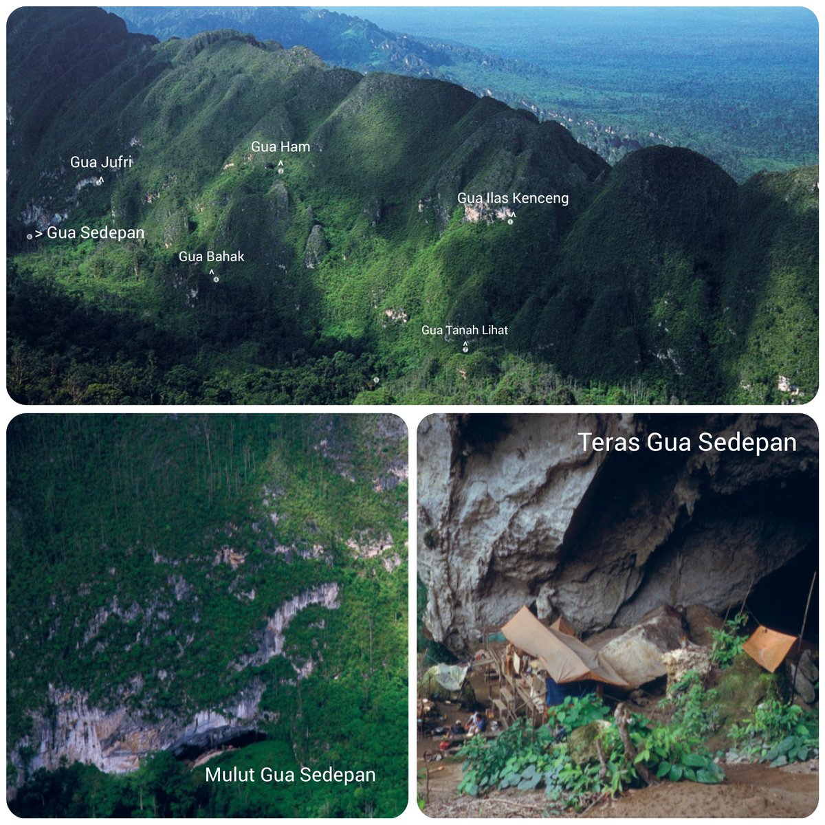 Para pencari sarang burung walet rela hidup di teras-teras gua demi memanen puluhan kilogram sarang walet "hitam" setiap 40 hari sekali, waktu yang diperlukan burung untuk membuat sarangnya sampai cukup bernilai untuk dijual. Karena pekerjaan perèmès inilah mereka sering