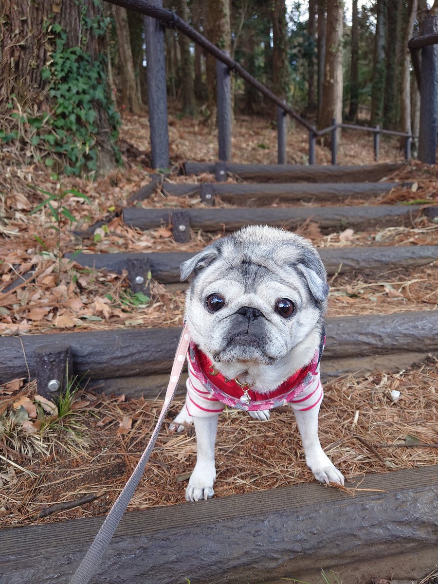 kuku (@kuku_tenluna) / Posts / X