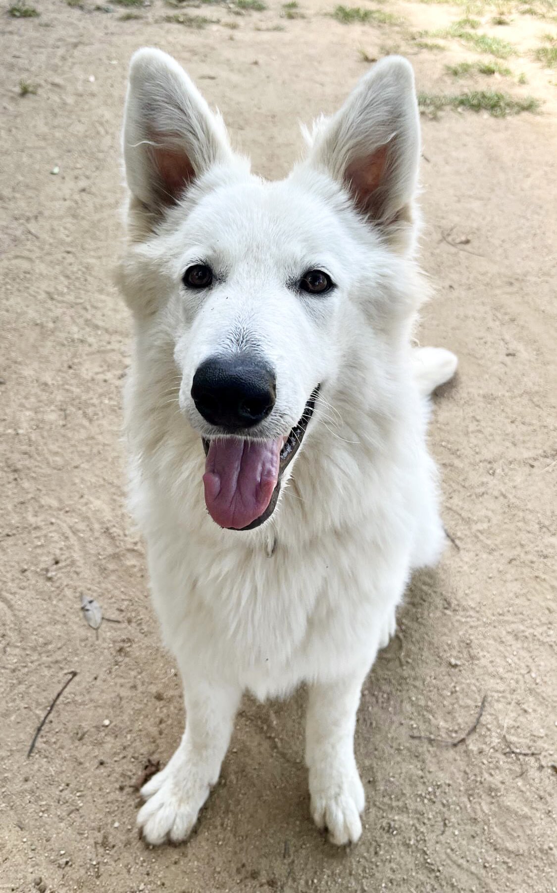 姫路セントラルパーク☆サファリ[公式] on X: 