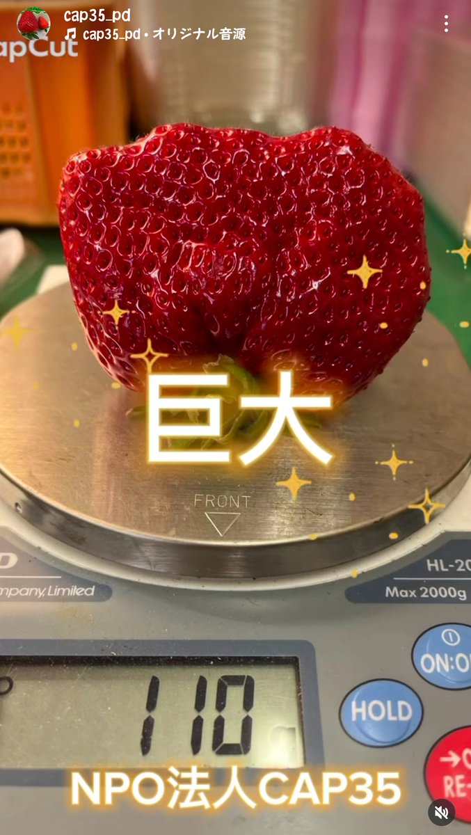 smellichigo's tweet photo. 今しか食べれない巨大🍓
一昨年🍓狩り行った #CAP35 さんからお取り寄せ🤭
巨大🍓1個=普通サイズ3個分位かな~🥳めちゃ甘~😍
直ぐ実家へ行き お裾分け🥰
#古都華 昨年行けなかったから 今年は行きたいなぁ🤤
今年🍓の出来は遅めで3月予定だそうです✨
#奈良ブランド https://t.co/jRWmP3PdVj
