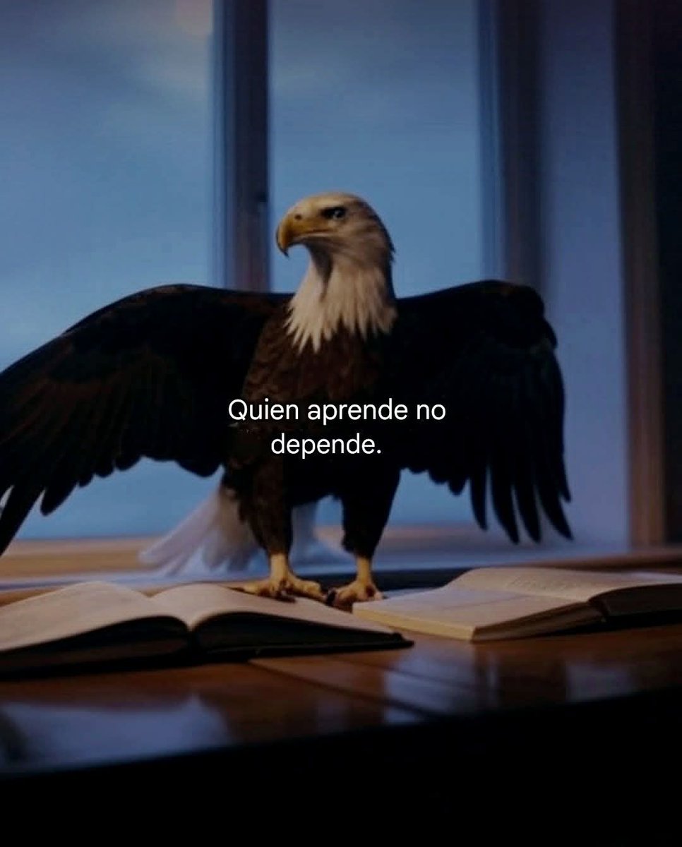 bixt1522 (@ssteban2) on Twitter photo 