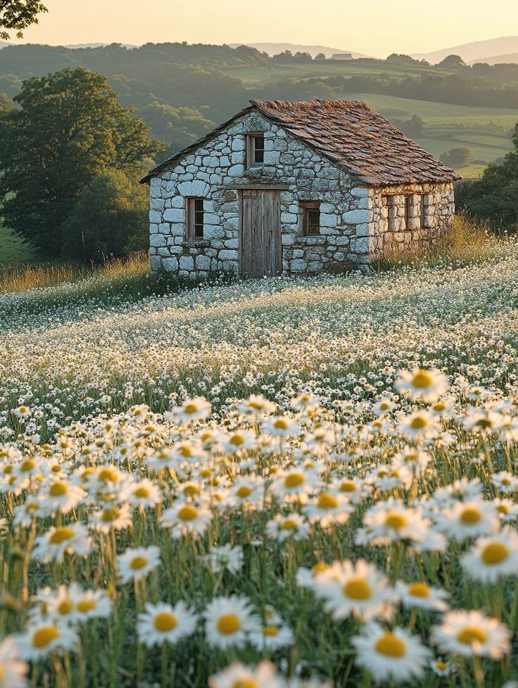 pathwayy_'s tweet image. 