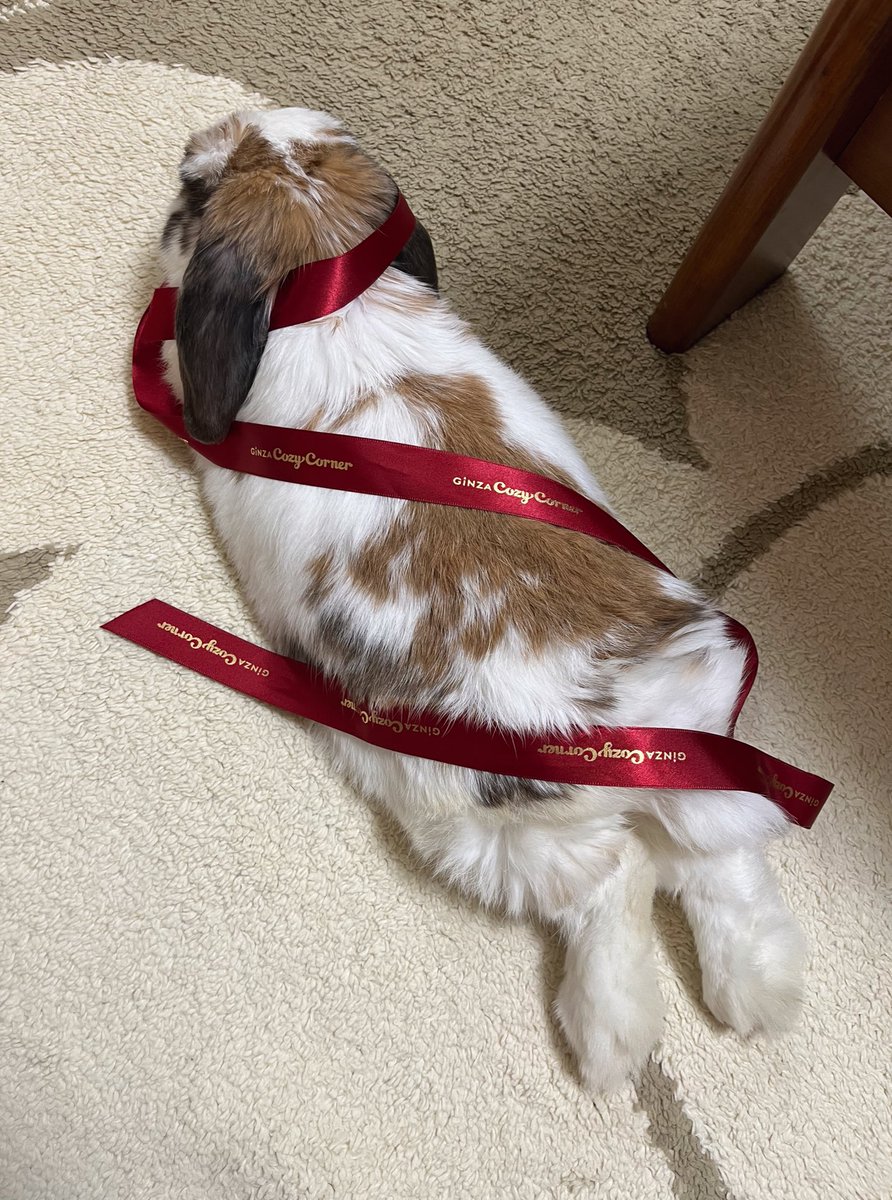 コージーコーナーの詰め合わせ🎁