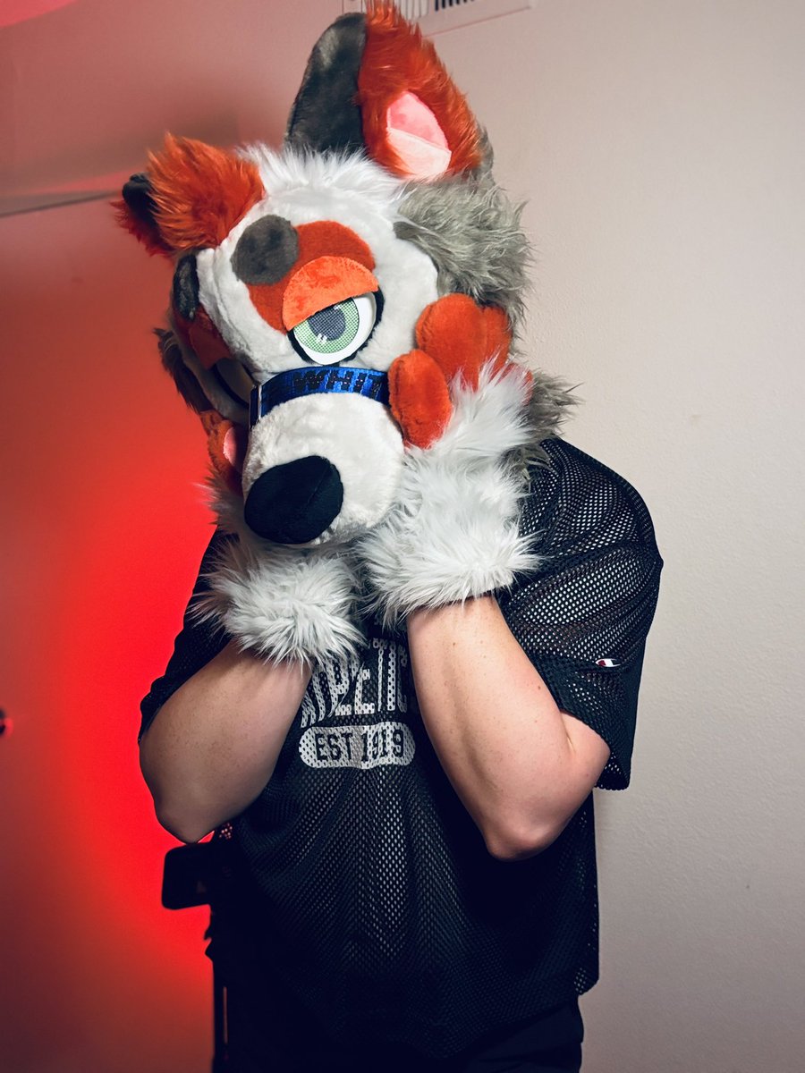 driftwolf_'s tweet image. V day 2025 ❤️ #furry