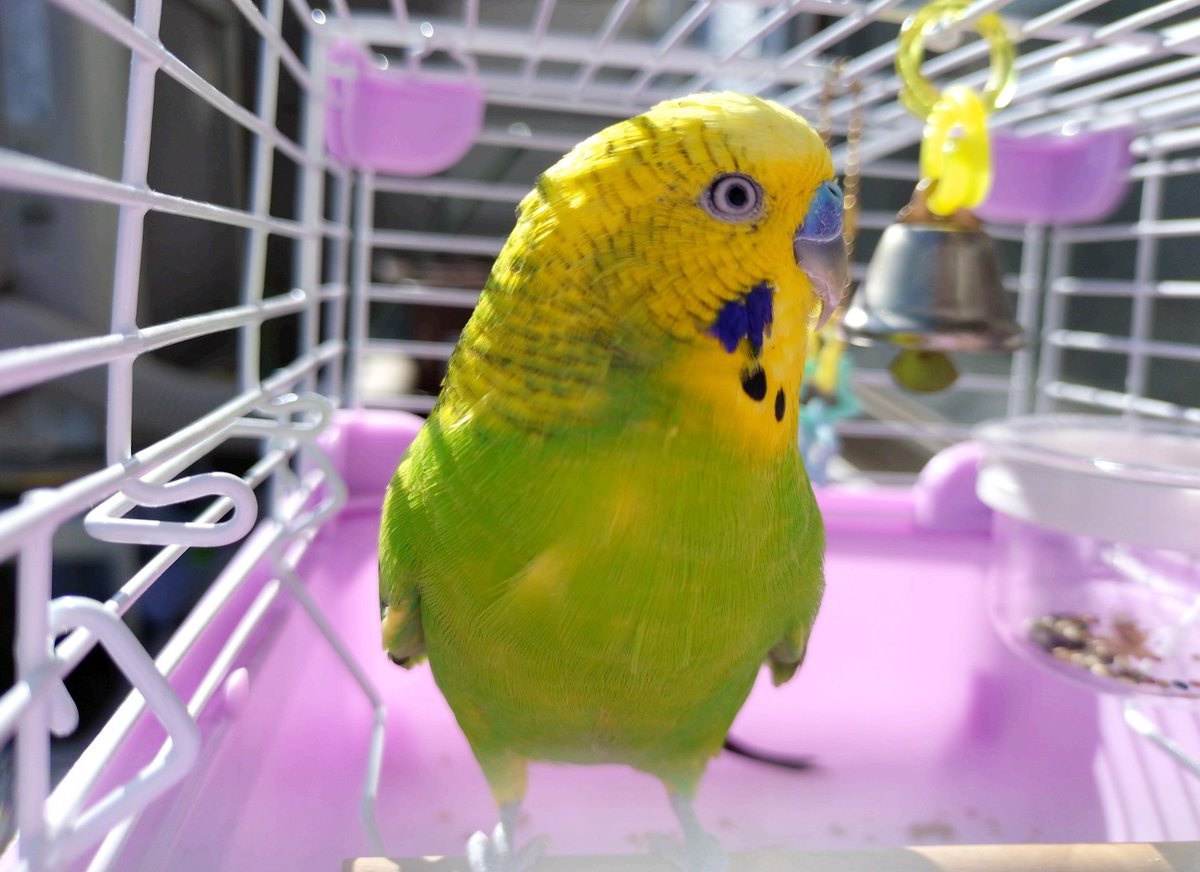 久々に暖かいから外出したらこの顔