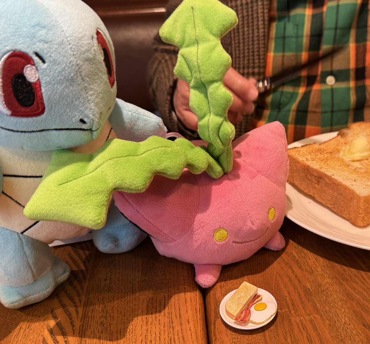 oowadashinya's tweet photo. わかった　わかった　
ちゃんと野菜も食べるから
#ポケモン　#ぬい活 https://t.co/aS5iJEsDmW