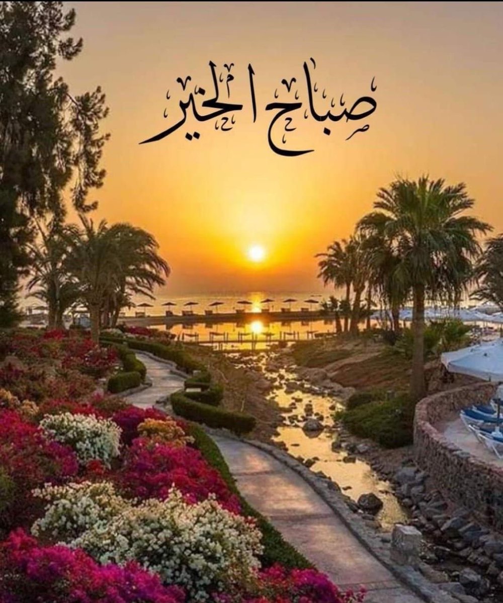 السلام علیکم 
صبح بخیر 

ایک خوشیوں اور برکتوں بھرا دن آپکا منتظر ہو آمین یارب العالمین 🤲___💐💕