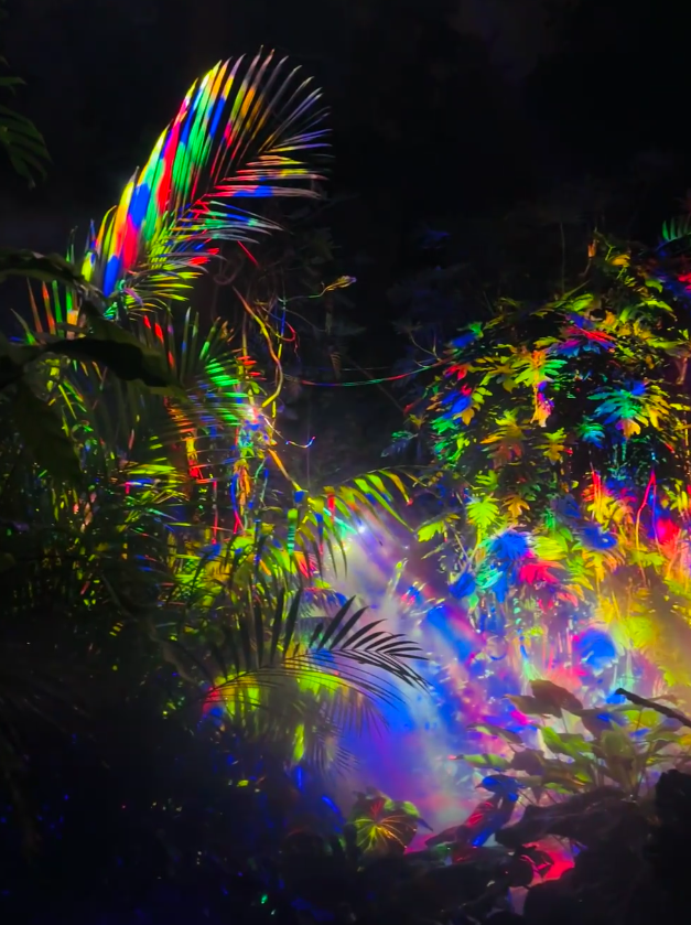 Swan_Swanwan's tweet photo. Miami’s nightlife: A symphony of lights and beats. https://t.co/fKjjTA0Kxs