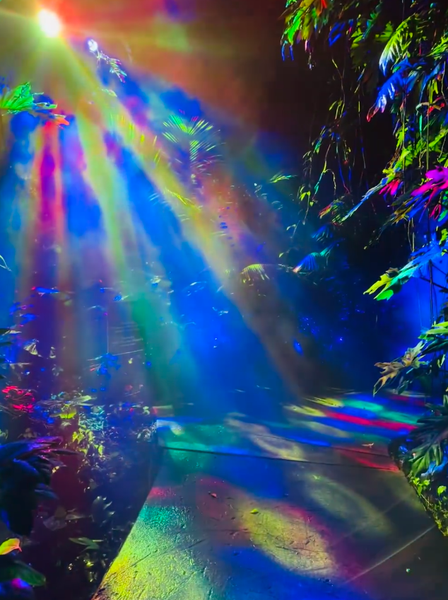 Swan_Swanwan's tweet photo. Miami’s nightlife: A symphony of lights and beats. https://t.co/fKjjTA0Kxs