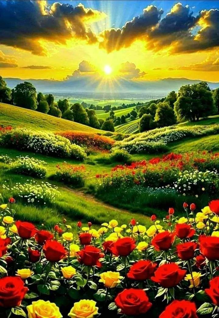 Asslam O Alaikum 
❤️❤️❤️❤️❤️❤️
Good morning 
❤️❤️❤️❤️❤️❤️