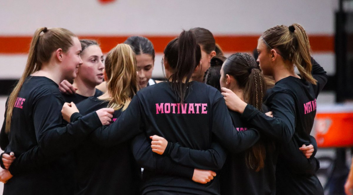 GoLadyTigers tweet media