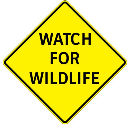 DriveBC's tweet photo. ⚠️#BCHwy3A - a wildlife advisory is in effect between Marron Valley Rd and Junction #BCHwy97.
Use caution.
#Kaleden #Keremeos 
ℹ️https://t.co/kf7VqM6F0c https://t.co/MgURelf8qt