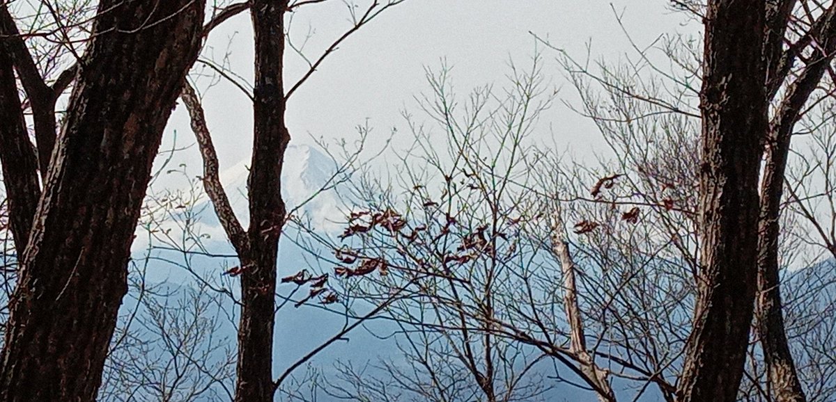 mountainbeast2's tweet photo. さんちょー
#富士山 #山梨 #山 #大月市 #甲斐百山 #麻生山 #HOKA   #トレイルランニング https://t.co/zkPISrw0SJ