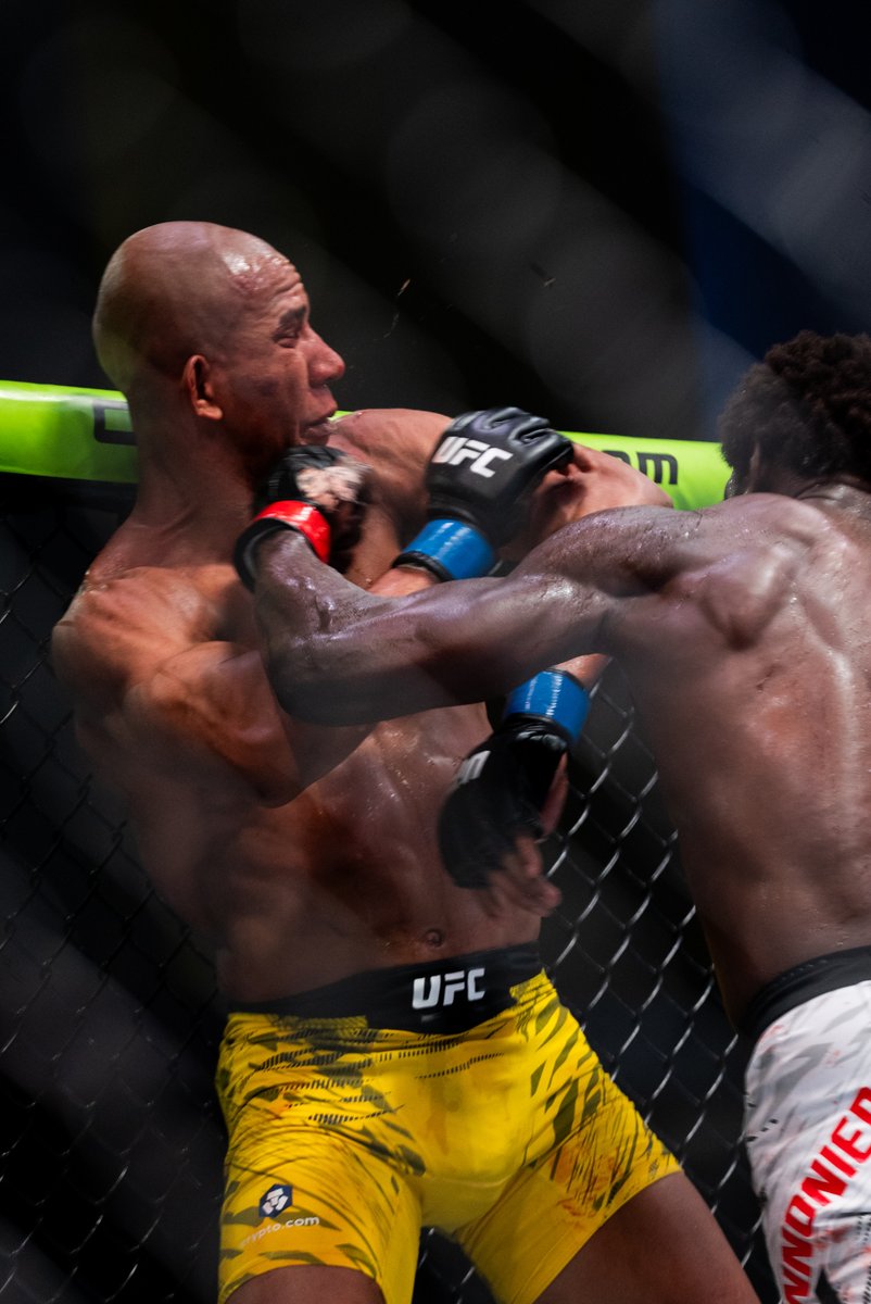 UFC ボクシングウェア レッド UFC（ユーエフシー） | FREEDOM 格闘技用品店 グローブ