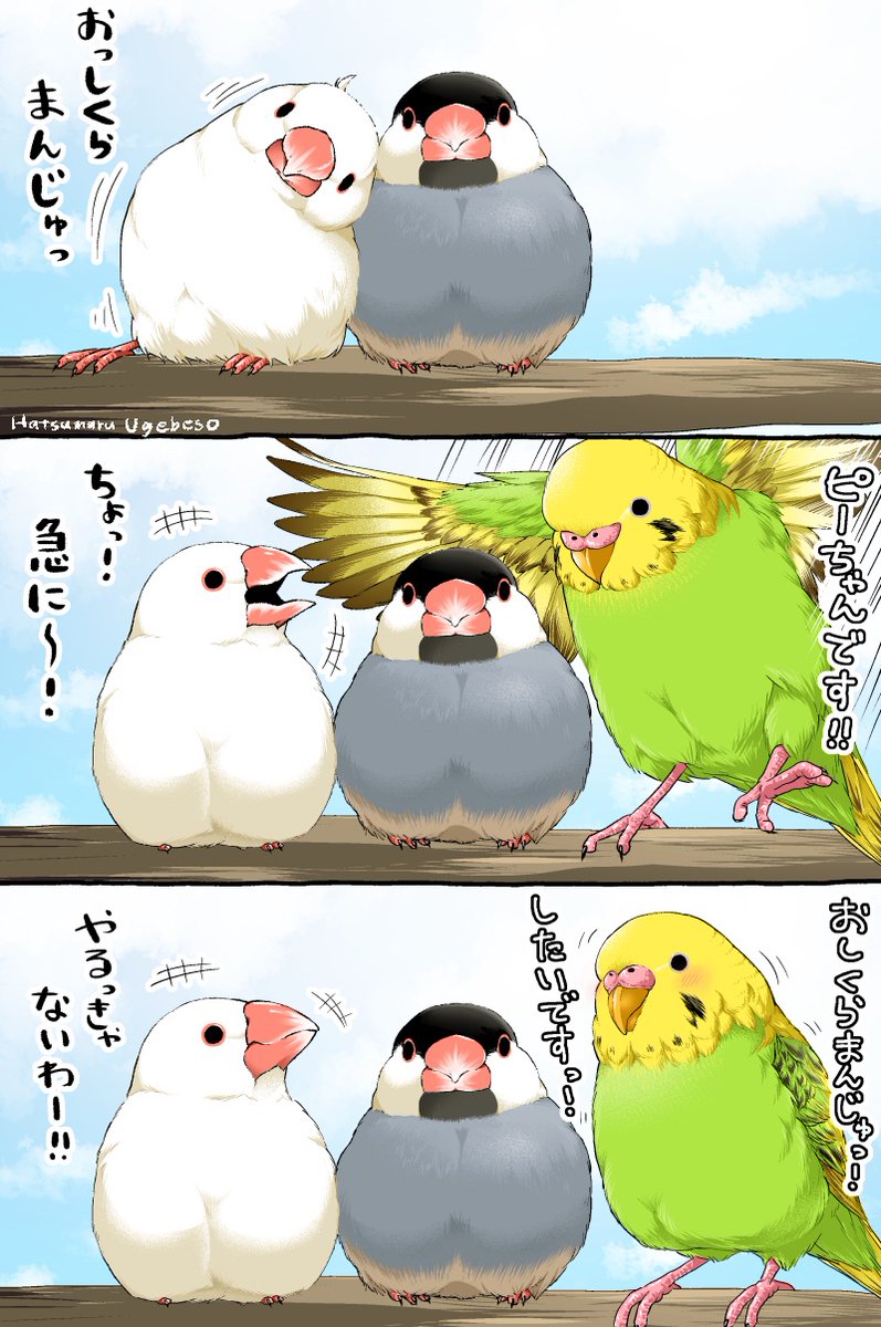 おしくらバードまんじゅう【1/2】 