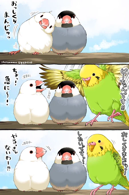 おしくらバードまんじゅう【1/2】 