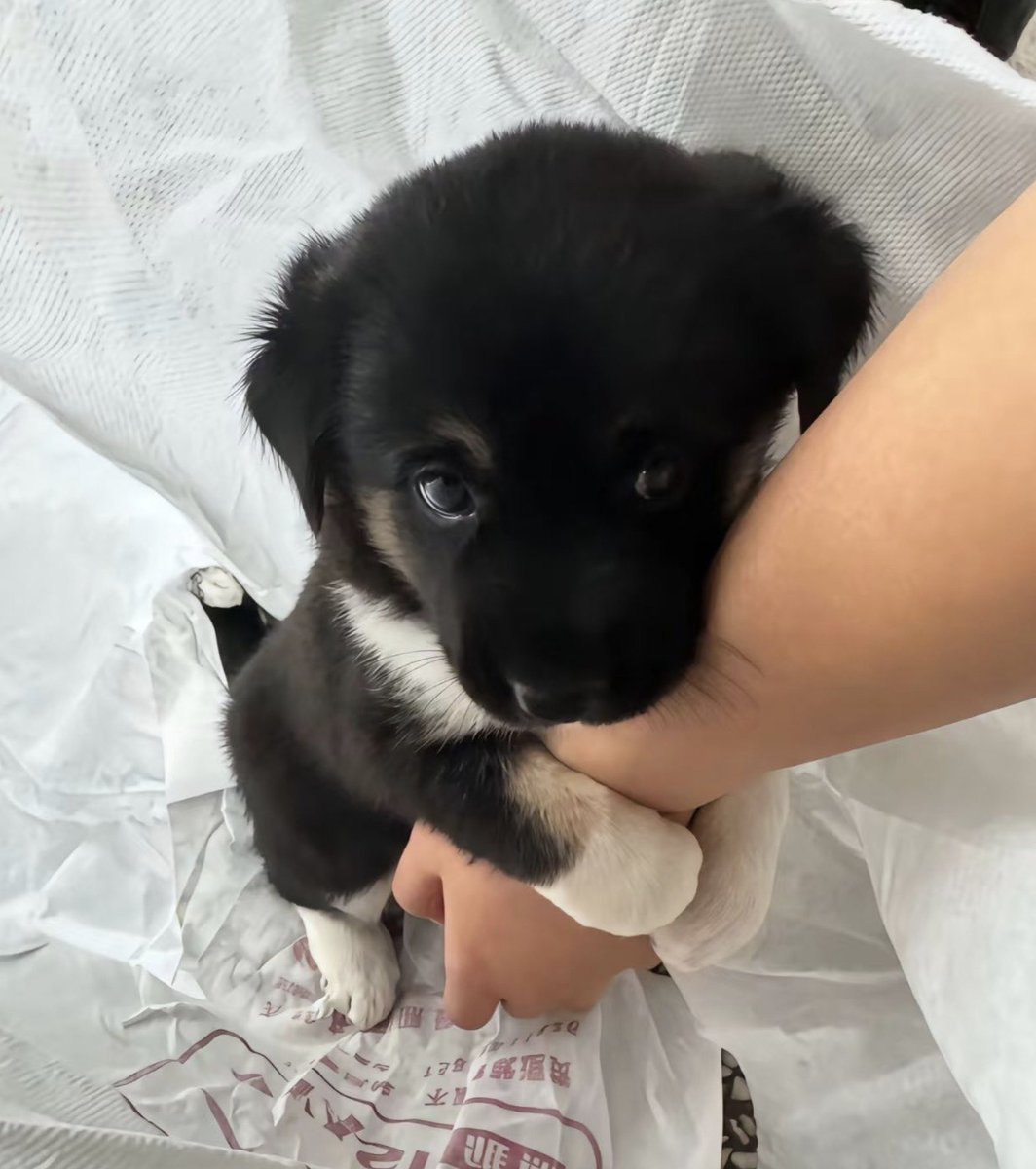 らめっ！

おちごといったららめっ！😢
.