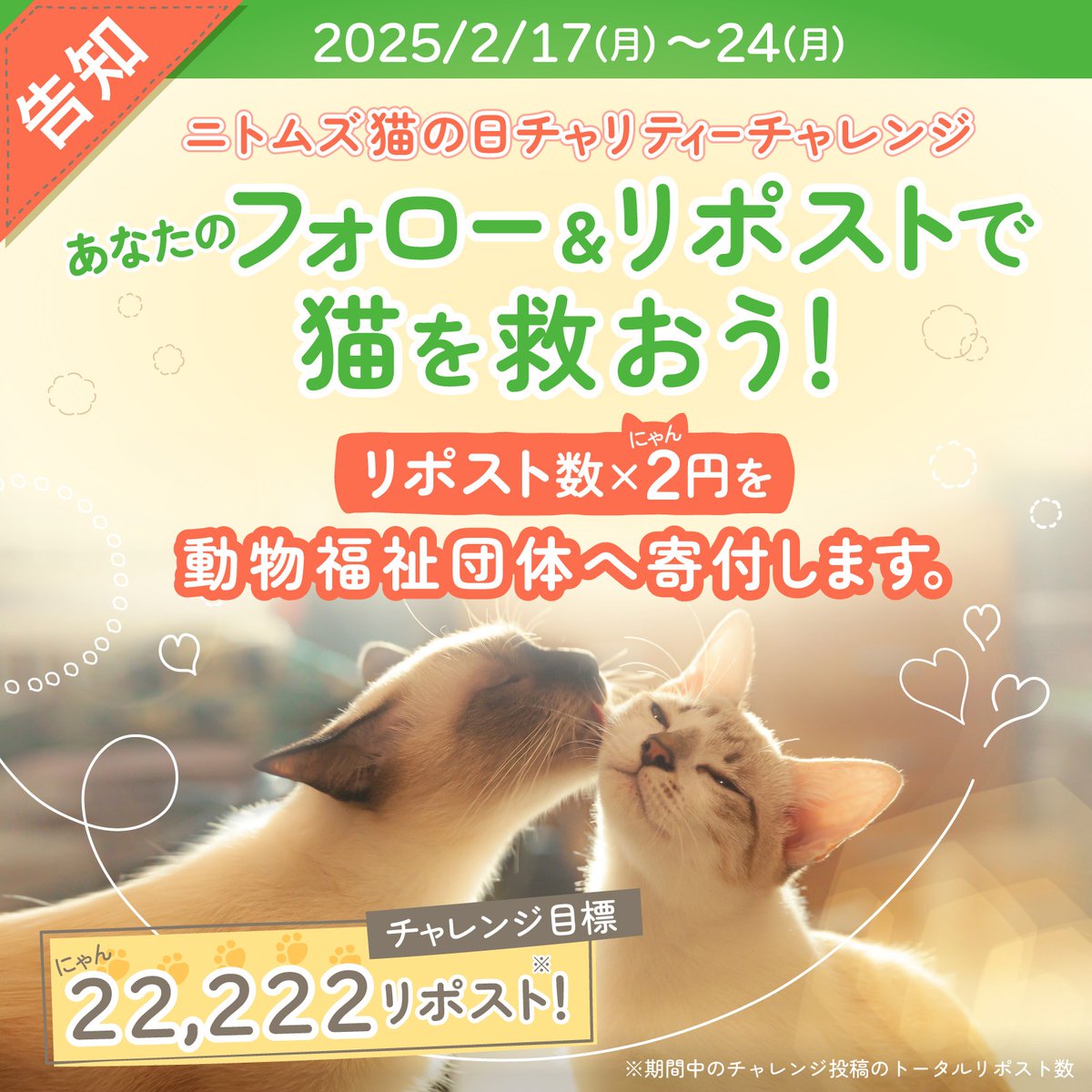 nitomsjapan's tweet photo. ／
ニトムズ猫の日チャリティーチャレンジ
＼

あなたのフォロー＆リポストで猫を救おう！ 🐾
猫の日に合わせて、リポスト数×2円を動物福祉団体へ寄付する取り組みを行います！

猫との暮らしに役立つ製品を期間中毎日ご紹介✨
猫たちに明るい未来を届けましょう！🐱💕

#猫の日 #アニドネ https://t.co/u9F8vm9n5P