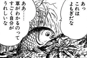あー
螺湾川沿いにあるのがラワンブキと特に呼ばれ、植物としてはアキタブキというしょくぶつなのか 