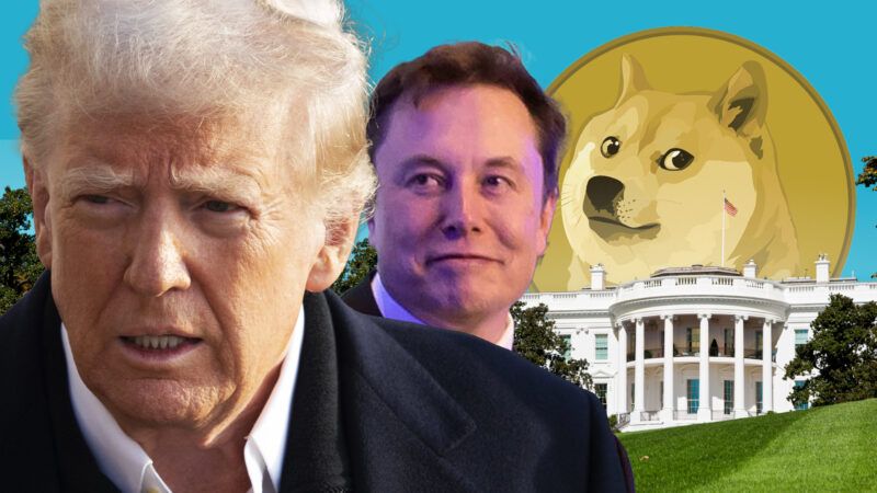 beaufonte's tweet photo. Government is literally created to steal resources from the populace for the sole  benefit of the Owner-Corporate Class. Not just ours, ALL OF THEM.  But go ahead &amp; feign shock that Elon is finding "fraud"

#ElonMusk
#DOGE
#PeakCapitalism
#Fascism https://t.co/vMTvZno72e