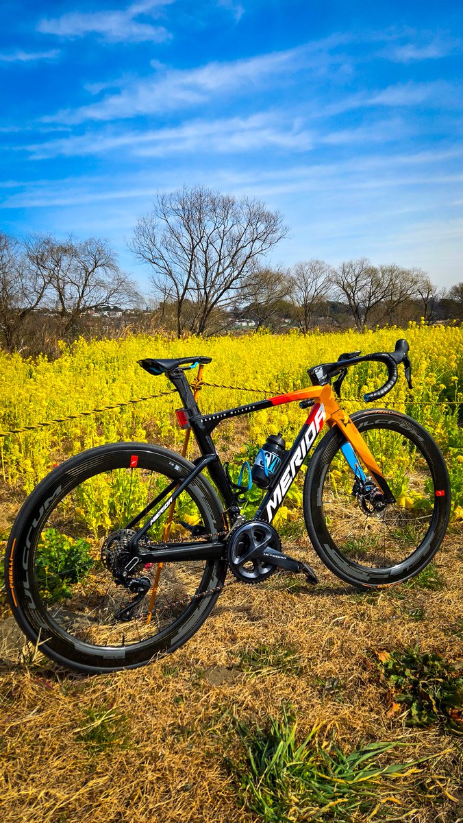 やまこう (@yamakoh_) / Posts / X